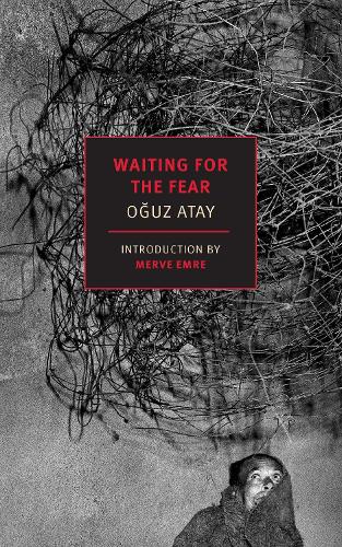 Бумажная книга «Waiting for the Fear», авторов Огуз Атай, Ральф Хаббелл - фото №1