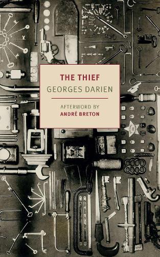 Бумажная книга «The Thief» - фото №1