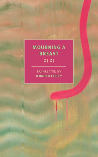 Бумажная книга «Mourning a Breast» - фото №1