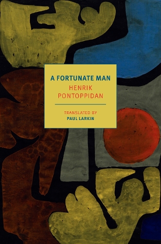 Паперова книга «A Fortunate Man», авторів Генрік Понтоппідан, Пол Ларкін - фото №1