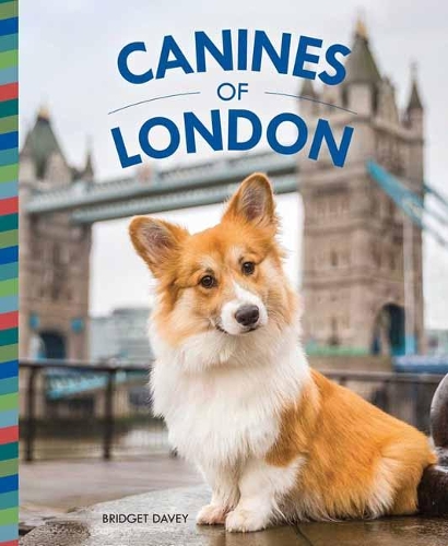 Паперова книга «Canines of London», автор Бріджит Дейві - фото №1