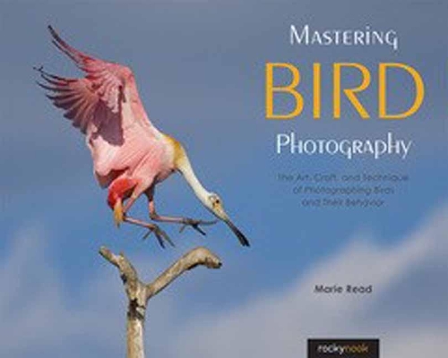 Бумажная книга «Mastering Bird Photography : The Art, Craft, and Technique of Photographing Birds and Their Behavior», автор Мари Рид - фото №1
