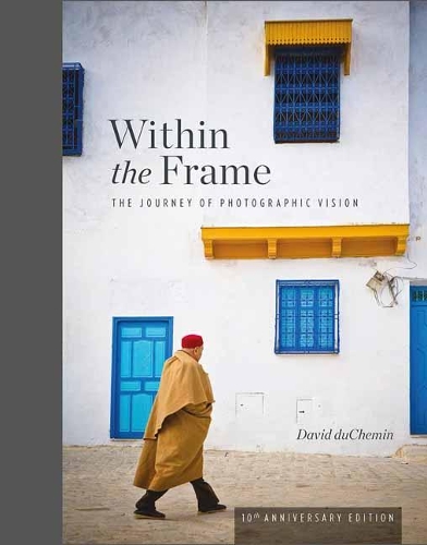 Бумажная книга «Within the Frame: 10th Anniversary Edition», автор Дэвид Дюшемин - фото №1