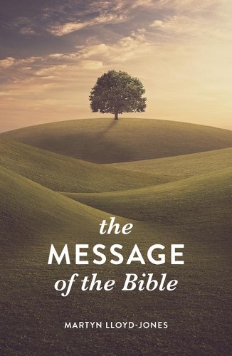 Бумажная книга «The Message of the Bible (Pack of 25)», автор SPCK - фото №1