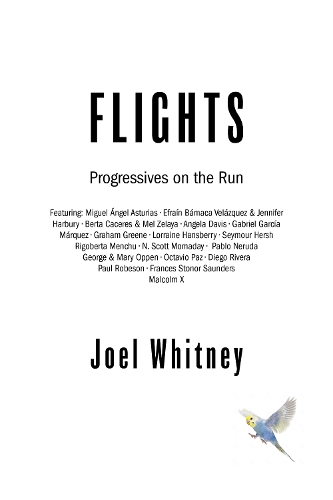 Бумажная книга «Flights: Radicals on the Run», автор Джоэл Уитни - фото №1