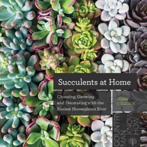 Бумажная книга «Succulents at Home: Choosing, Growing, and Decorating with the Easiest Houseplants Ever», автор Джон Туллок - фото №1