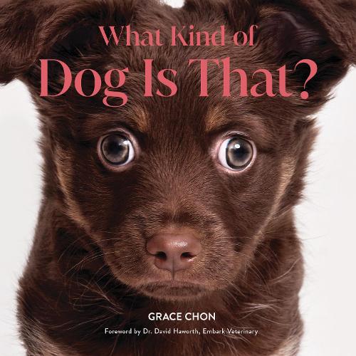 Паперова книга «What Kind of Dog Is That?», автор Грейс Чон - фото №1