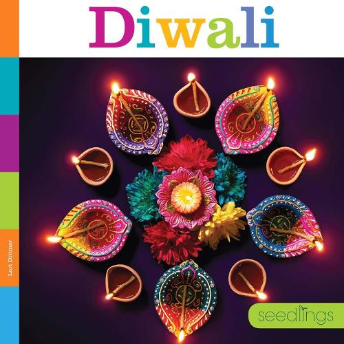 Бумажная книга «Diwali», автор Лори Диттмер - фото №1