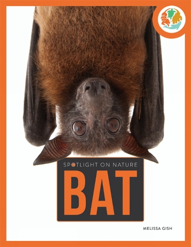 Паперова книга «Spotlight on Nature: Bat», автор Гах - фото №1