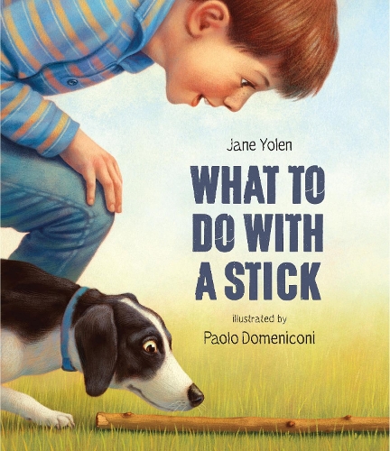 Бумажная книга «What to do with a Stick: A remarkable toy», автор Джейн Йолен - фото №1