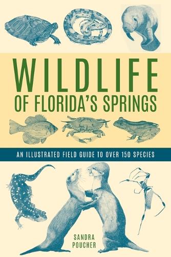Бумажная книга «Wildlife of Florida's Springs: An Illustrated Field Guide to Over 150 Species», автор Сандра Пушер - фото №1