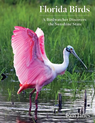 Бумажная книга «Florida Birds: A Birdwatcher Discovers the Sunshine State», автор Кен Джейнс - фото №1