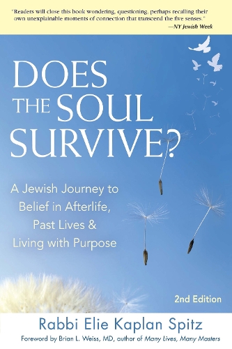 Бумажная книга «Does the Soul Survive? (2nd Edition): A Jewish Journey to Belief in Afterlife, Past Lives & Living with Purpose», автор Эли Каплан Шпиц - фото №1