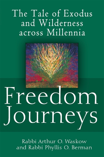 Бумажная книга «Freedom Journeys: The Tale of Exodus and Wilderness across Millennia», авторов Артур О. Васков, Филлис О. Берман - фото №1