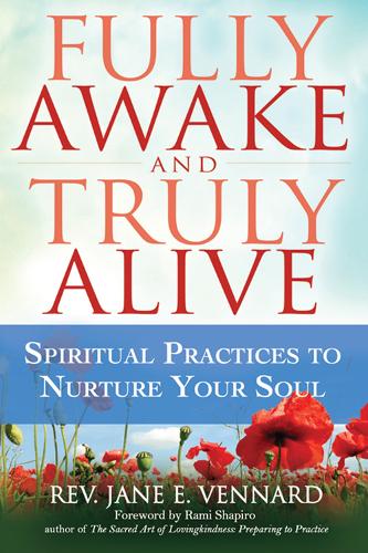 Бумажная книга «Fully Awake and Truly Alive: Spiritual Practices to Nurture Your Soul», автор Джейн Э. Веннард - фото №1