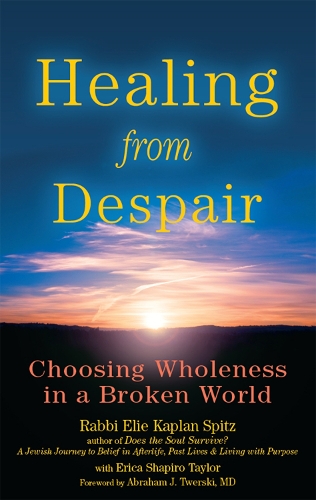 Бумажная книга «Healing from Despair: Choosing Wholeness in a Broken World», автор Эли Каплан Шпиц - фото №1