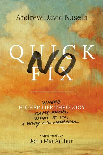 Бумажная книга «No Quick Fix», автор Эндрю Дэвид Населли - фото №1