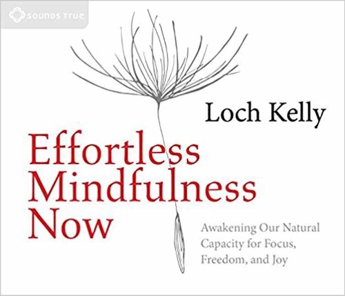 Бумажная книга «EFFORTLESS MINDFULNESS NOW» - фото №1