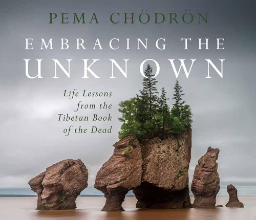 [object Object] «Embracing the Unknown: Life Lessons from the Tibetan Book of the Dead», автор Пема Чодрон - фото №1