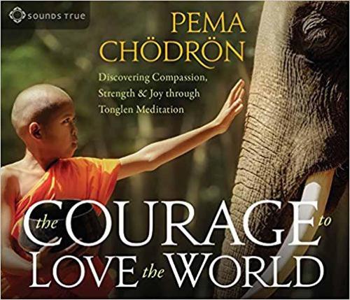 Паперова книга «COURAGE TO LOVE THE WORLD» - фото №1
