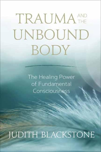Бумажная книга «Trauma and the Unbound Body» - фото №1