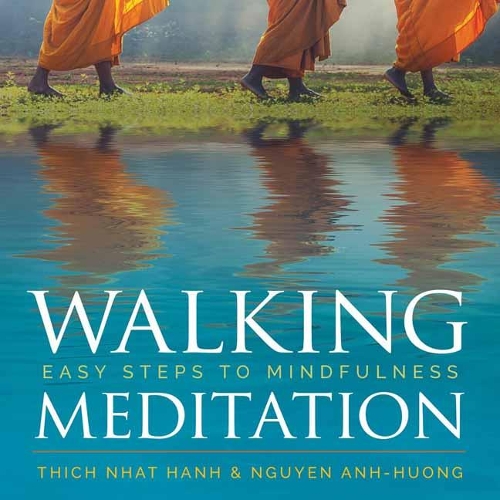 Бумажная книга «Walking Meditation» - фото №1