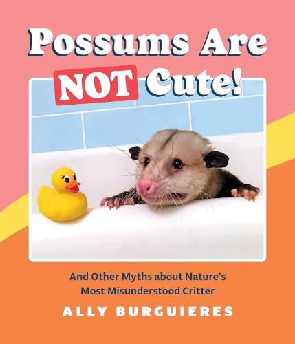 Паперова книга «Possums Are Not Cute», автор Еллі Бургьєрс - фото №1