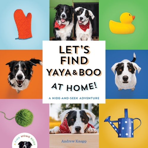 Бумажная книга «Let's Find Yaya and Boo at Home! : A Hide-and-Seek Adventure », автор Эндрю Кнапп - фото №1