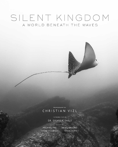 Паперова книга «Silent Kingdom: A World Beneath the Waves», автор Крістіан Візл - фото №1