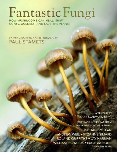 Бумажная книга «Fantastic Fungi: How Mushrooms Can Heal, Shift Consciousness, and Save the Planet», авторов Евгения Боун, Луи Шварцберг - фото №1