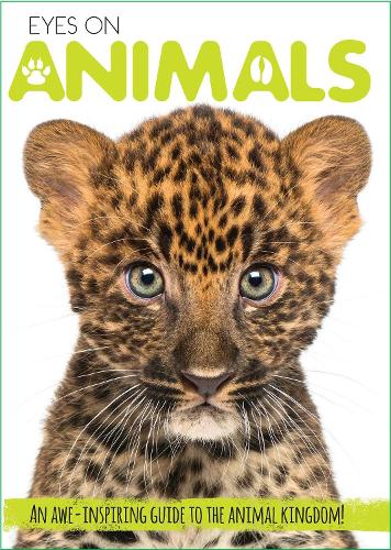 Бумажная книга «Eyes On Animals», автор Кортни Акампора - фото №1