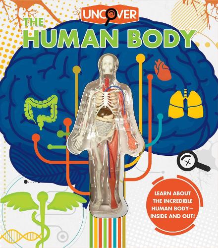 Бумажная книга «Uncover the Human Body», автор Луанн Коломбо - фото №1