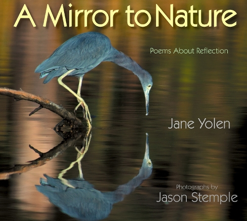 Бумажная книга «Mirror to Nature, A: Poems about Reflection», автор Джейн Йолен - фото №1