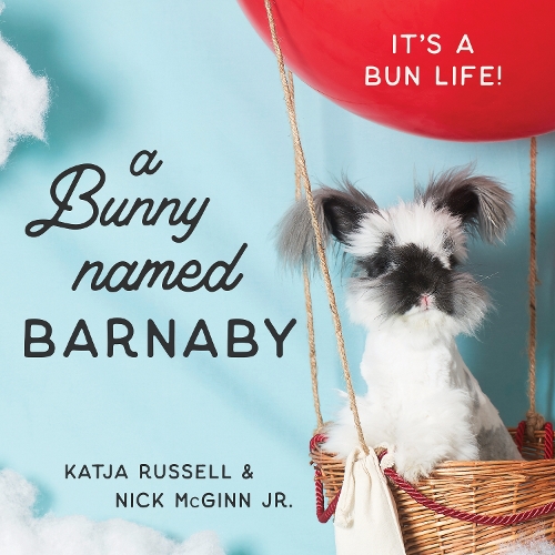 Паперова книга «A Bunny Named Barnaby: It's a Bun Life», авторів Катя Рассел, Нік МакГінн-молодший - фото №1
