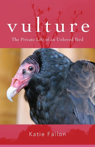 Бумажная книга «Vulture – The Private Life of an Unloved Bird», автор Кэти Фэллон - фото №1