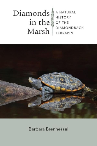 Паперова книга «Diamonds in the Marsh - A Natural History of the Diamondback Terrapin», авторів Барбара Бреннессель, Боб Прескотт - фото №1