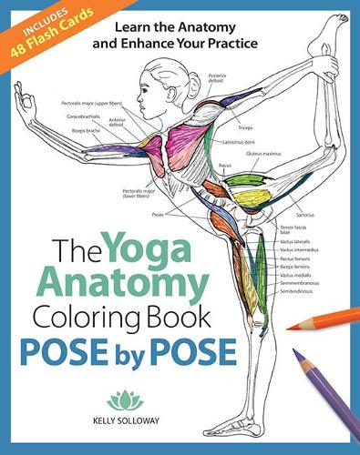 Бумажная книга «Pose by Pose: Learn the Anatomy and Enhance Your Practice», автор Келли Соллоуэй - фото №1