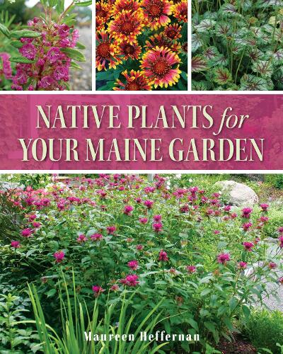 Паперова книга «Native Plants for Your Maine Garden», автор Морін Хеффернан - фото №1