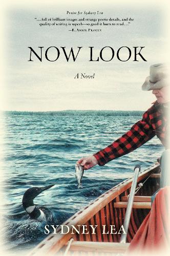 Паперова книга «Now Look», автор Сідні Леа - фото №1