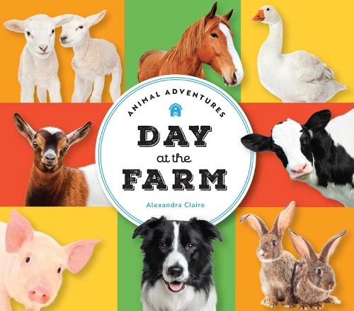 Бумажная книга «Animal Adventures: Day at the Farm», автор Александра Клэр - фото №1