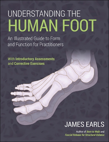 Бумажная книга «Understanding the Human Foot: An Illustrated Guide to Form and Function for Practitioners», автор Джеймс Эрлс - фото №1