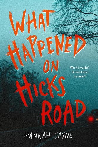 [object Object] «What Happened on Hicks Road», автор Ханна Джейн - фото №1