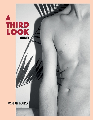 Паперова книга «A Third Look», автор Джозеф Майда - фото №1
