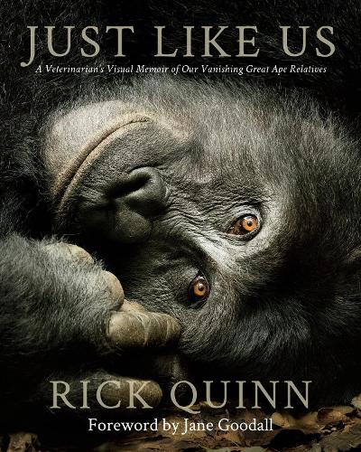 Бумажная книга «Just Like Us: A Veterinarian’s Visual Memoir of Our Vanishing Great Ape Relatives», автор Рик Куинн - фото №1
