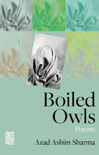 Бумажная книга «Boiled Owls», автор Азад Ашим Шарма - фото №1