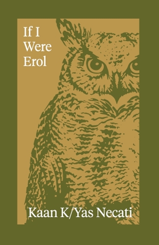 Бумажная книга «If I Were Erol», автор Каан К/Яс Некати - фото №1