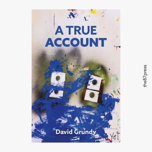 Бумажная книга «A True Account», автор Дэвид Грюнди - фото №1