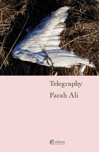 Бумажная книга «Telegraphy», автор Фара Али - фото №1