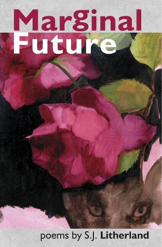 Паперова книга «Marginal Future», автор С. Дж. Лізерленд - фото №1