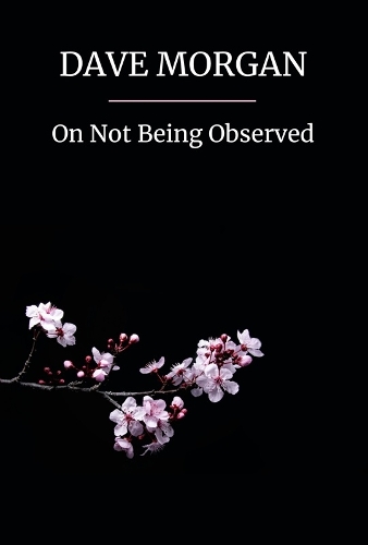 Паперова книга «On Not Being Observed», автор Дейв Морган - фото №1